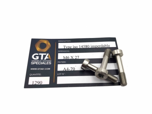 Vis TC Torx CZX ISO 14580 imperdable -GTA